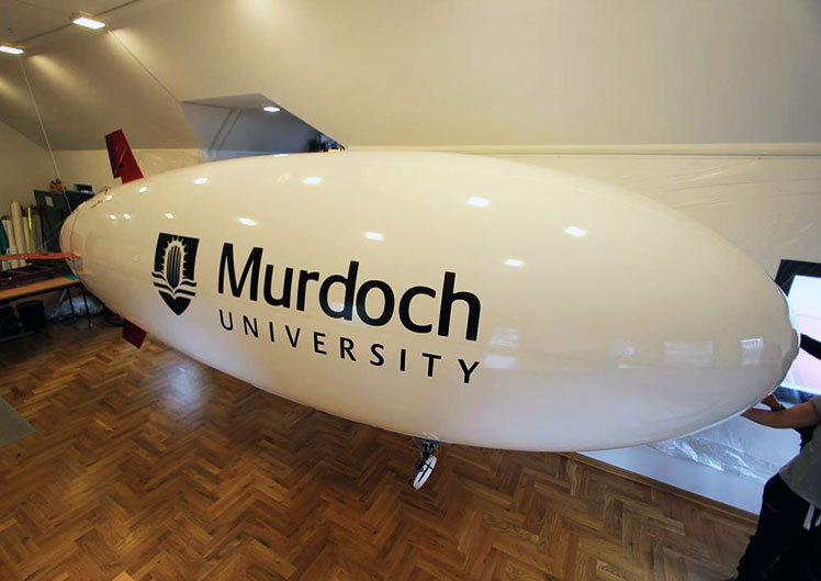 6-m-rc-blimp-side-view